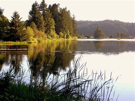 Camp Tilikum Summer Camps and Retreat Center