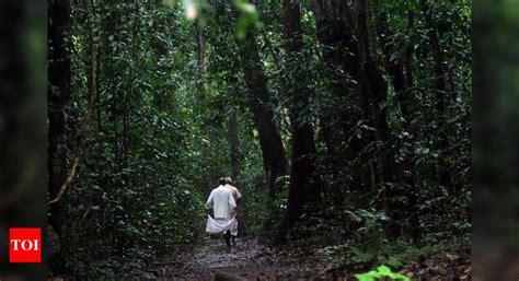 Study throws light on rich biodiversity of Iringole Kavu | Kochi News ...