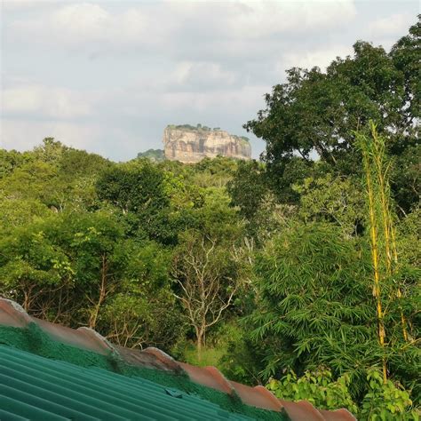 SIGIRI HERITANCE VILLA (Sigiriya) - Lodge Reviews, Photos, Rate ...