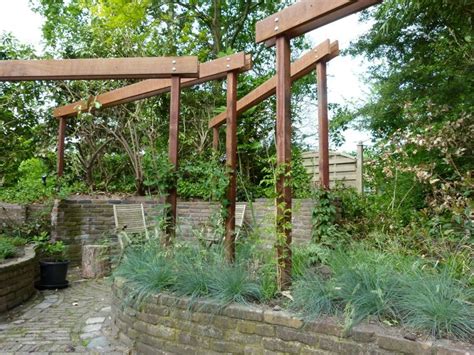 Image result for pergola druivenstruiken