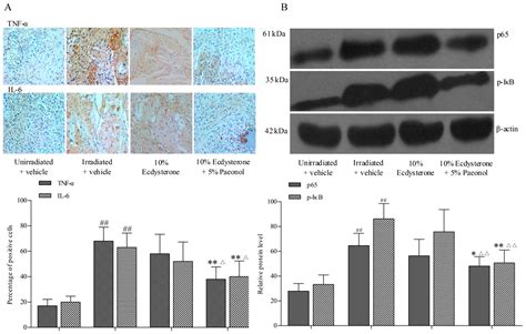 Therapeutic Effect of Ecdysterone Combine Paeonol Oral Cavity Direct ...