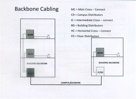 Backbone Connection 的图像结果