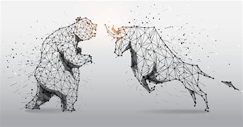 Screener Tutorial 的图像结果