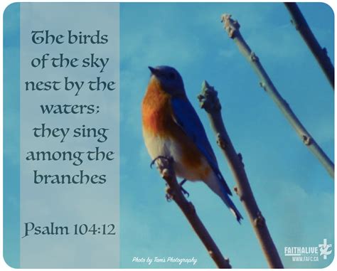 Psalm 104:12 - The birds of the sky nest by the waters; they sing among ...