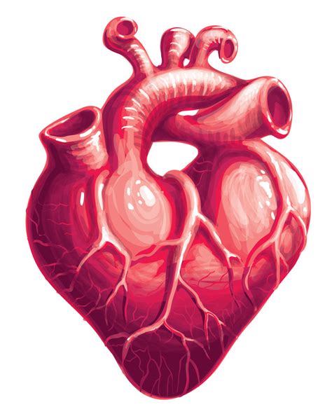 神奇的心脏“小马达”，让心跳如常！|起搏器|磁共振|血管鞘|心脏|导线|体积|-健康界