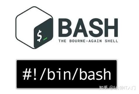 Linux操作系统下的shell程序设计_linux编写一个shell脚本程序,编写一个弹出式菜单的shell程序并实现其简单的菜单功-CSDN博客