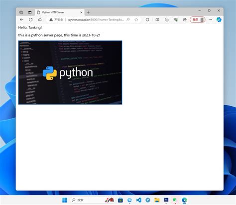 Python Import HTTP 的图像结果
