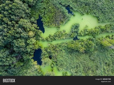 Swamp Aerial View 的图像结果