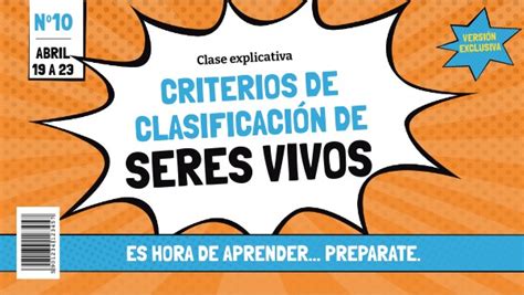 Criterios para la formación de categorías