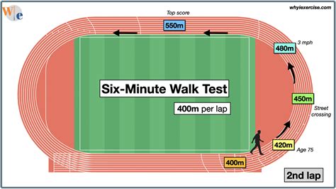 Walking speed for seniors: This is a lifesaver!
