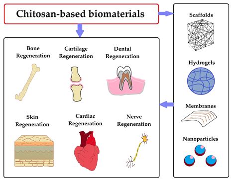 Tissue engineering Applications 的图像结果