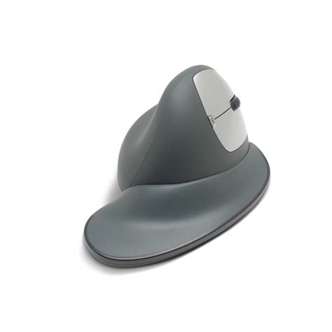 Image result for Ergonomic Mouse for Computer
