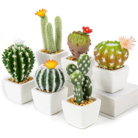 Amazon.com: Mini Artificial Cactus Plants in Ceramic Pots 6 Pcs Potted ...