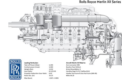 Merlin Engine 的图像结果