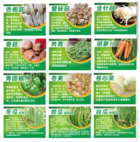 这里的蔬菜很珍稀，你认识几种，每一种蔬菜，你吃了都在治病 - 江津在线E47.CN