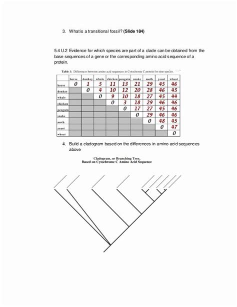 Image result for Cladogram Practice Worksheet