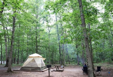 Washington DC Area Campgrounds: Find Your Perfect Escape