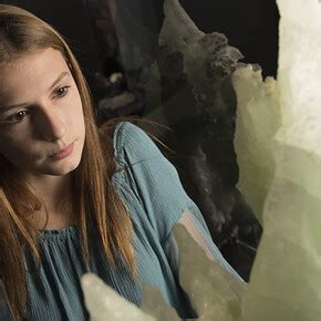 Carnegie Museum of Natural History