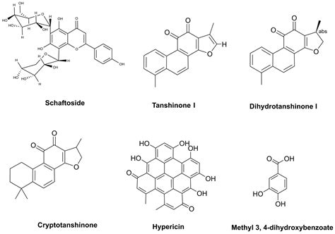 Insights for Future Pharmacology: Exploring Phytochemicals as Potential ...
