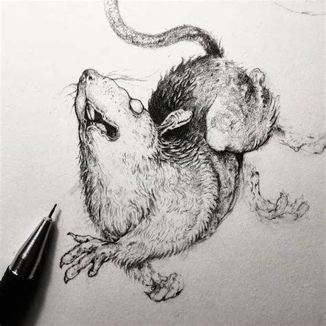 Pin by Bree Leaf on Drawing and painting | Rat tattoo, Skull sketch ...