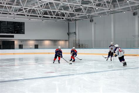 People Playing Hockey 的图像结果