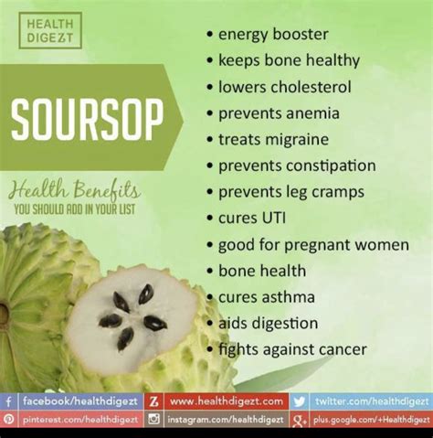 Pin by Marquetta Fourman on Natural remedies | Soursop benefits, Health facts food, Natural ...