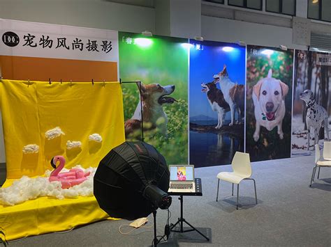 展会动态 - 中国宠物文化节