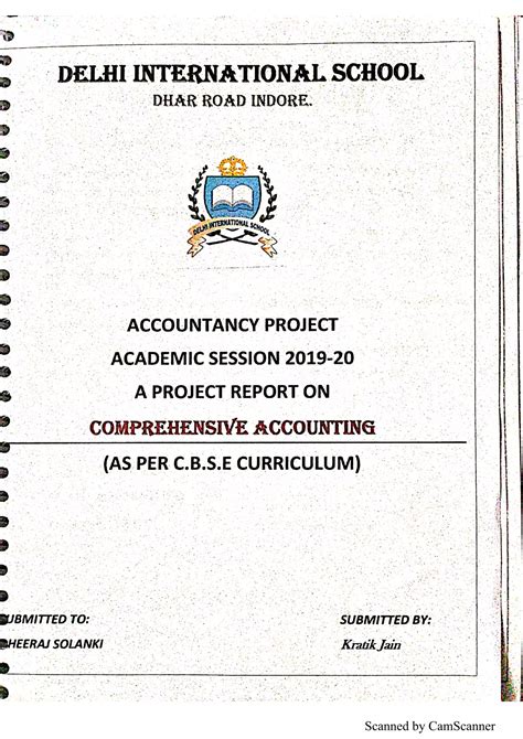 Image result for Accounts Class 11 Project File PDF