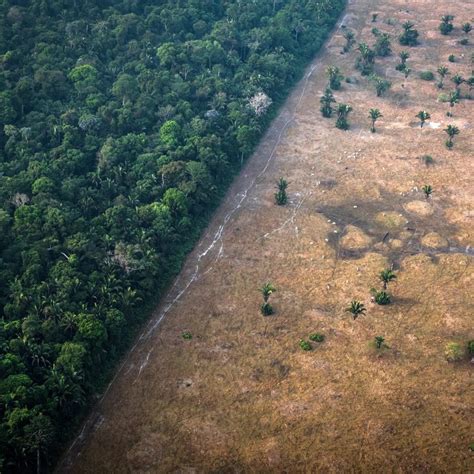 Environment 的图像结果