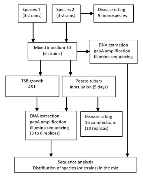 Image result for Example of Experiment