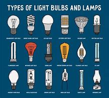 Image result for Types of Fluorescent Bulbs