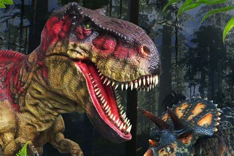 Lake George Expedition Park - Lake George | Tripadvisor