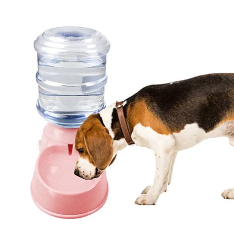 Water Dispenser For Dog at David Montelongo blog