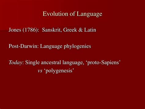 Image result for Early Humans Evolution of Language