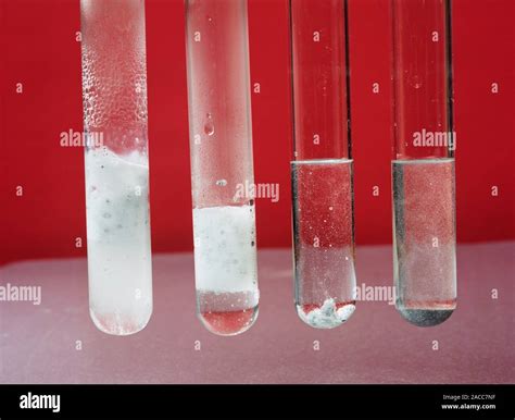 Dilute hydrochloric acid reactions. From left, calcium, magnesium, zinc ...