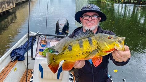 SPECIES SPOTLIGHT: Peacock Bass | FreshWater | floridasportfishing.com