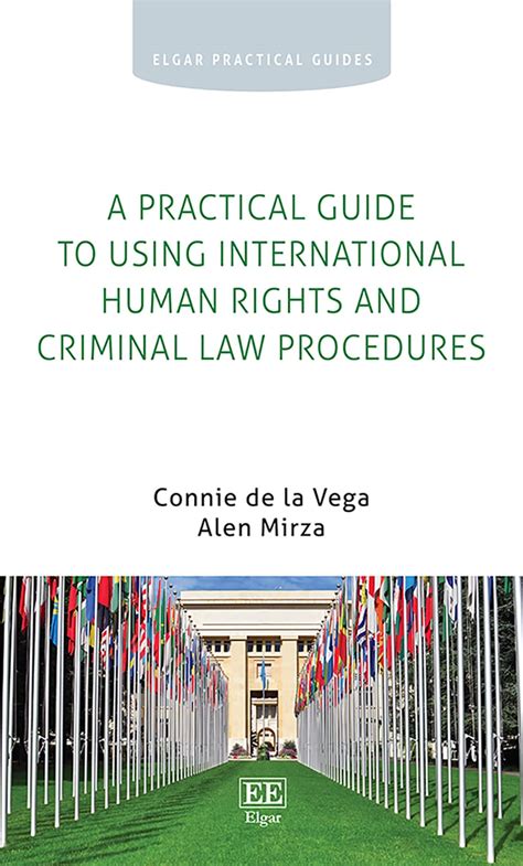 Buy A Practical Guide to Using International Human Rights and Criminal ...