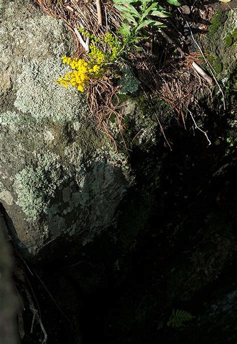 CATAMOUNT STATE FOREST (2025) All You Need to Know BEFORE You Go (with ...