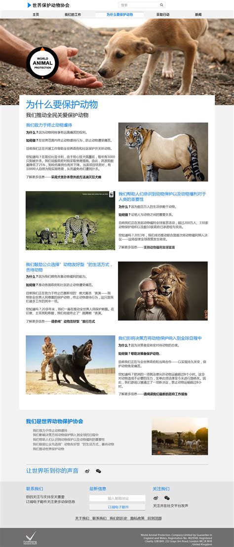 保护动物协会网站|网页|运营设计|不愿做奴隶的人 - 原创作品 - 站酷 (ZCOOL)