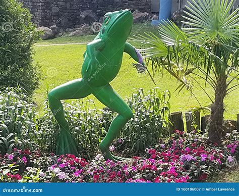 Feeling Froggy jump stock image. Image of flowers, jump - 160106007