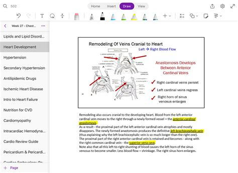How Does One Note Work with References 的图像结果