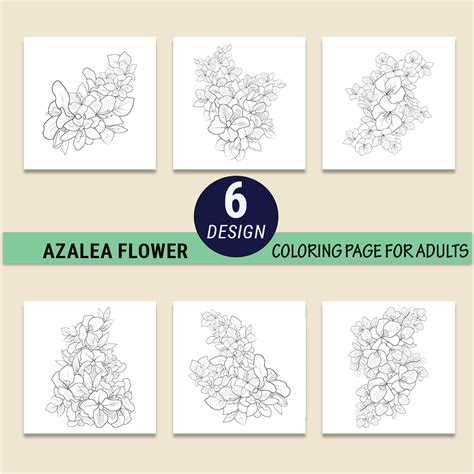 outline azalea drawing, botanical azalea drawing, the national flower ...
