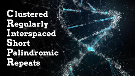 Image result for CRISPR Tutorial