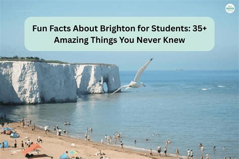 Fun Facts About Brighton for Student: 35+ Amazing Facts 2025