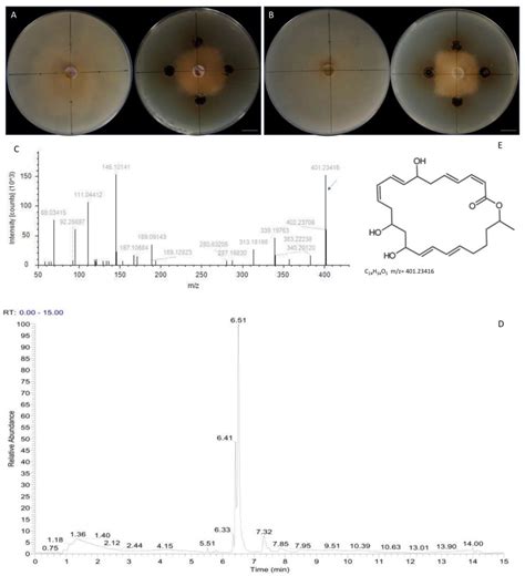 Transcriptomics and Metabolomics Reveal the Antagonistic Mechanism of ...