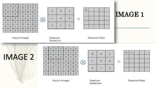 Image result for Image Classification Using CNN Data Encoding