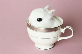 Image result for Tea Cup Bunny Toys 90s Pink