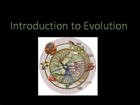 Image result for Evolution Introduction