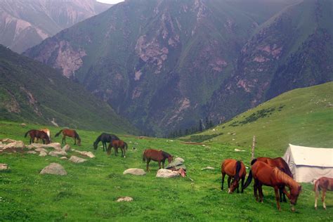 Jailoo Tourism – Туры в Узбекистан и Среднюю Азию