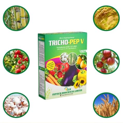 Pbl Tricho-Pep V (2 Kg) | Trichoderma Viride | Bio Pesticides For Agri ...